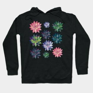 Colorful Succulent Watercolor Pattern Hoodie